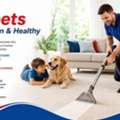 Carpet Cleaning Woolloongabba &ndash; Clean Carpets, Fresh Interiors