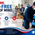 Pest Control Greenvale &ndash; Cleaner, More Comfortable Spaces