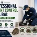 Professional Rodent Control In Dubai: A Complete Guide