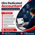 Hire Dedicated Accountant For Reliable Support