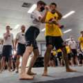 Learn About Family Martial Arts Class Of Kali Perth