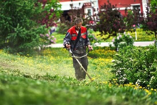 Calgary, Household, Need Lawn Care? Get Fast & Affordable Yard Service