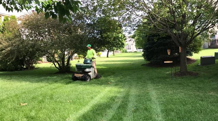 Calgary, Household, Need Lawn Care? Get Fast & Affordable Yard Service
