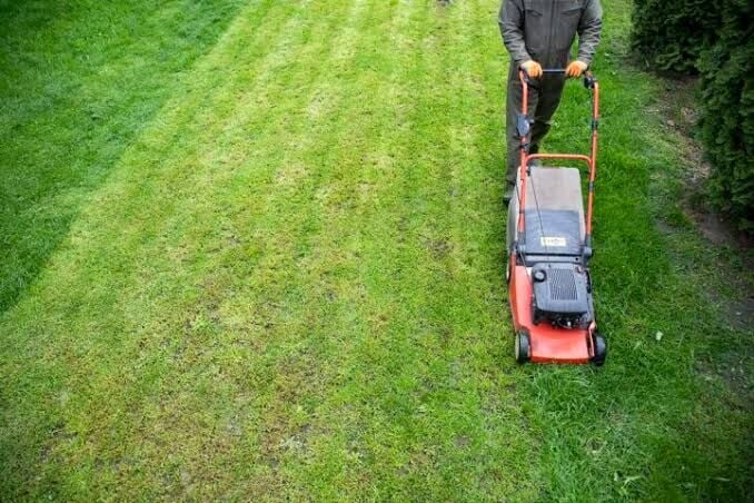 Calgary, Household, Need Lawn Care? Get Fast & Affordable Yard Service