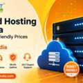 Shared Hosting In India At Budget-Friendly Prices From Hostnetindia
