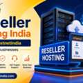Reseller Hosting India From Hostnetindia For All Businesses