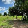 THB 250000,  6 BR,  3833 Sq. Feet,  ขายที่ดินเปล่า (โฉนดครุฑแดง น.ส. 4 จ.) เ