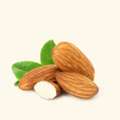 INR 349,  Buy Almond Oil Via VedaOils
