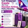 Cut Baggage Costs With These Hawaiian Airlines Policy Benefits