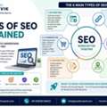 Types Of SEO Explained For Better Search Visibility - Growth Naavik