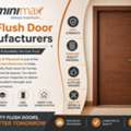 Top Flush Door Manufacturers