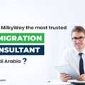 Available Visa For South Korea, Japan ,spain