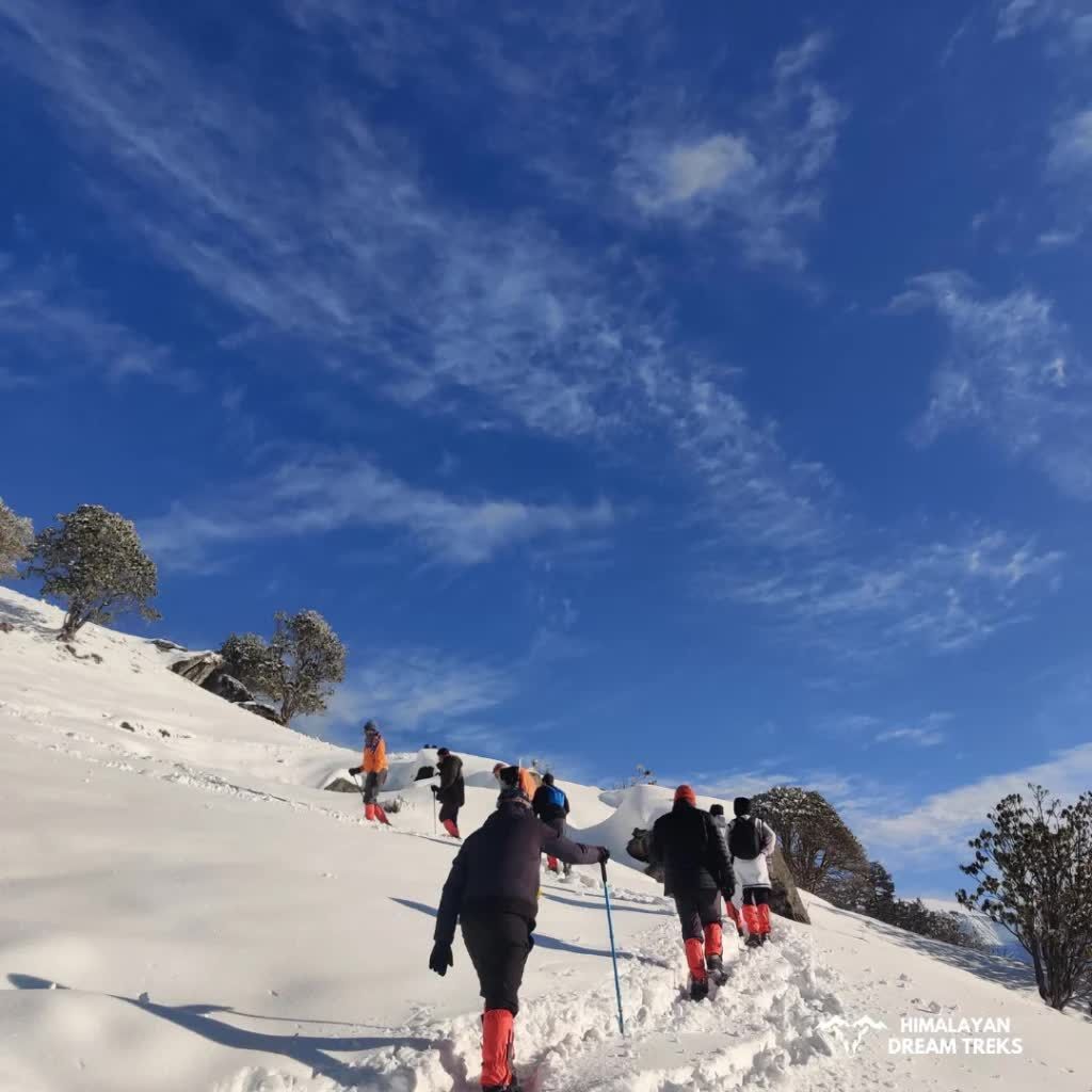 Mumbai, Travel, Plan Your Brahmatal Trek With Himalayan Dream Treks