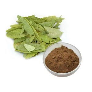 Mumbai, Health & Beauty Items, Curry Leaf Extract (3% Iron) Manufacturers In India