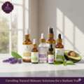 INR 1000,  Natural Skincare Products: A Complete Guide To Healthy-Looking Skin