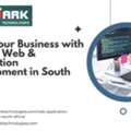 Professional Web Development Agency South Africa