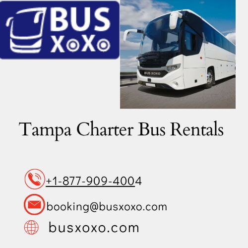 New York, Travel, Tampa Charter Bus Rental For Sports Teams - Reliable & Convenient Group Transportation