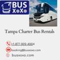 Tampa Charter Bus Rental For Sports Teams - Reliable & Convenient Group Transportation