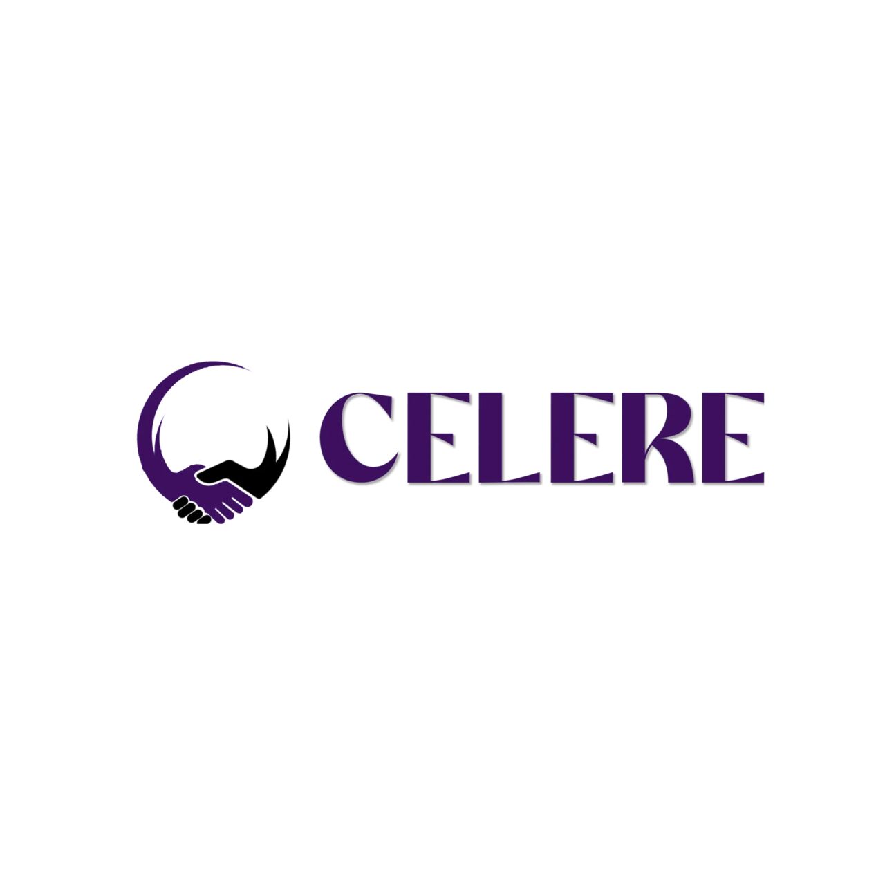 New Delhi, Business, Celere Services | AI-Powered Digital Marketing & Web Solutions