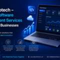 Debut Infotech &ndash; Custom Software Development Services For Growing Businesses