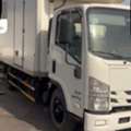 Available For Rent-Isuzu Refrigerated Dyna With Driver