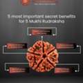 Best Rudraksha Shop In Kolkata