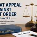 DRAT Appeal Against DRT Order Lawyer For Legal Representation?