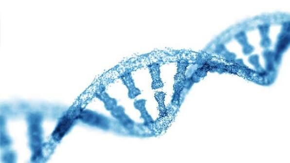 New Delhi, Health, Whole Exome Sequencing Service Provider
