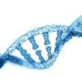 Whole Exome Sequencing Service Provider