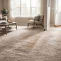 Why High-Traffic Carpet Areas Get Dirty Faster