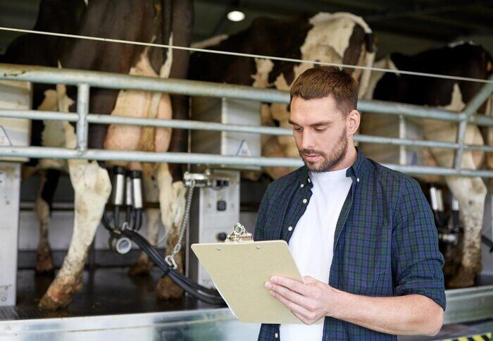 Doha, Pet Sitting, Expert Farm Supervision In Doha &ndash; Trusted Veterinary Support
