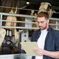 Expert Farm Supervision In Doha &ndash; Trusted Veterinary Support