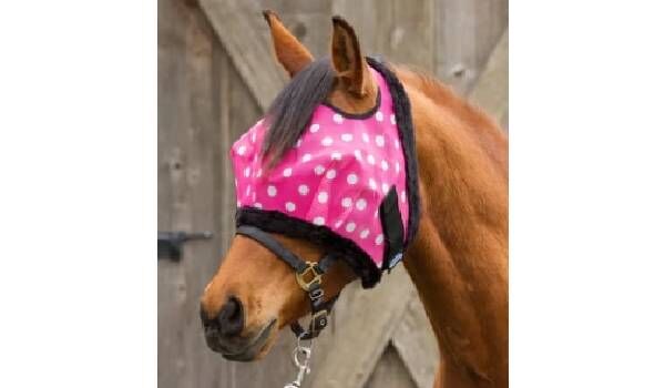 New York, Appliances, USD 34,  Horse Grooming Kit & Barn Supplies &ndash; New & Used