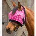 USD 34,  Horse Grooming Kit & Barn Supplies &ndash; New & Used