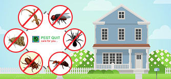 Riyadh, Pest Control, (Д⁠)MS PEST CONTROL COCKROACH💚SPRAYS (⁠✧⁠Д⁠✧⁠) BED BUGS💚SOLUTION=(0509683147)