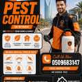 (Д⁠)MS PEST CONTROL COCKROACH🪳SPRAYS (⁠✧⁠Д⁠✧⁠) BED BUGS💚SOLUTION=(0509683147)
