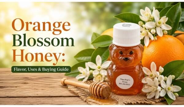 New York, Food, USD 5,  Orange Blossom Honey: Flavor, Uses & Buying Guide &ndash; Papa Bear