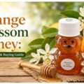 USD 5,  Orange Blossom Honey: Flavor, Uses & Buying Guide &ndash; Papa Bear's Honey