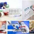 SAR 50/day,  Electrical And Plumbing Service Available