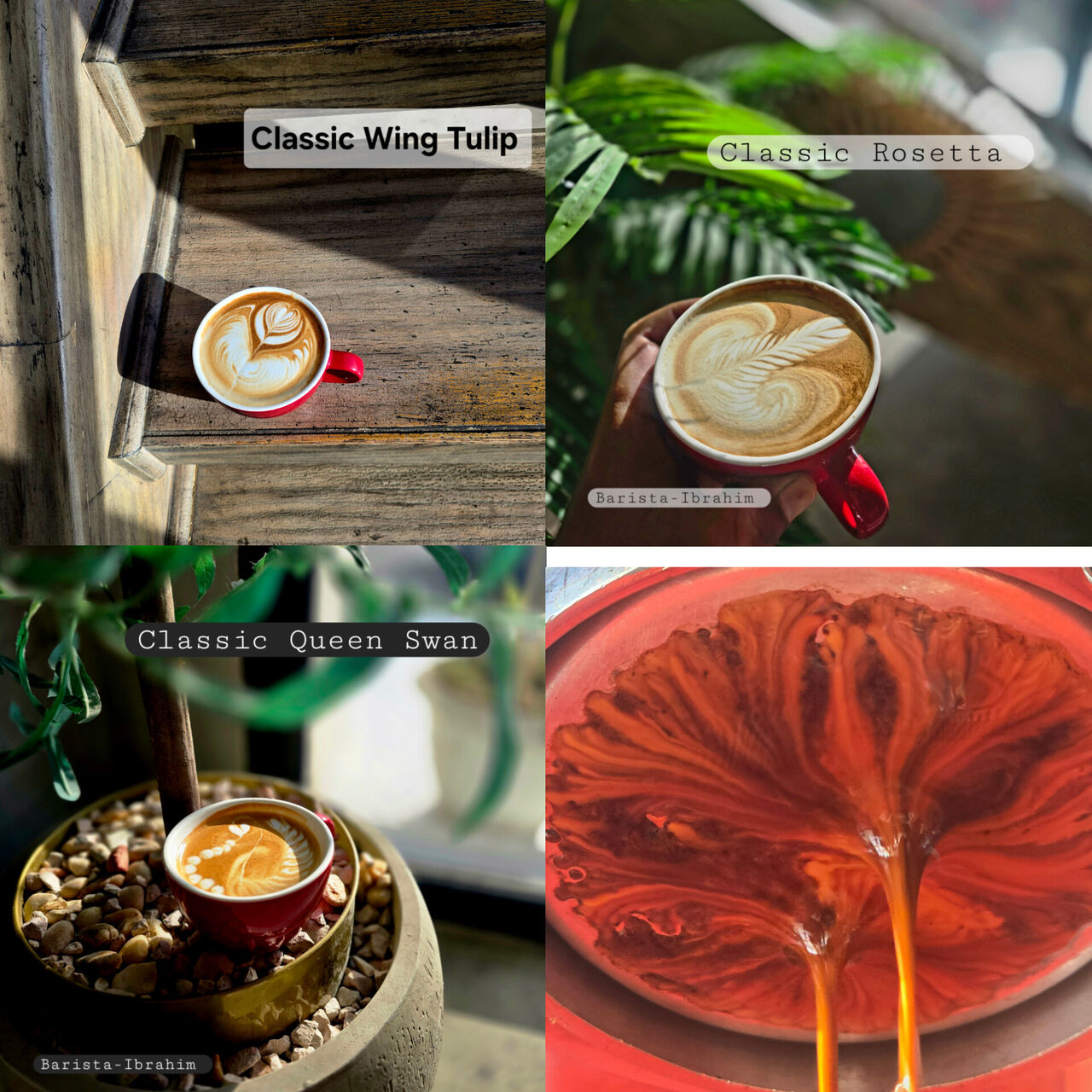 Dammam, Job Seekers, Head Barista/Barista Trainer