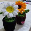 SAR 10, Gifts, Household Decor Handmade Flowers, Pots, Showpiece