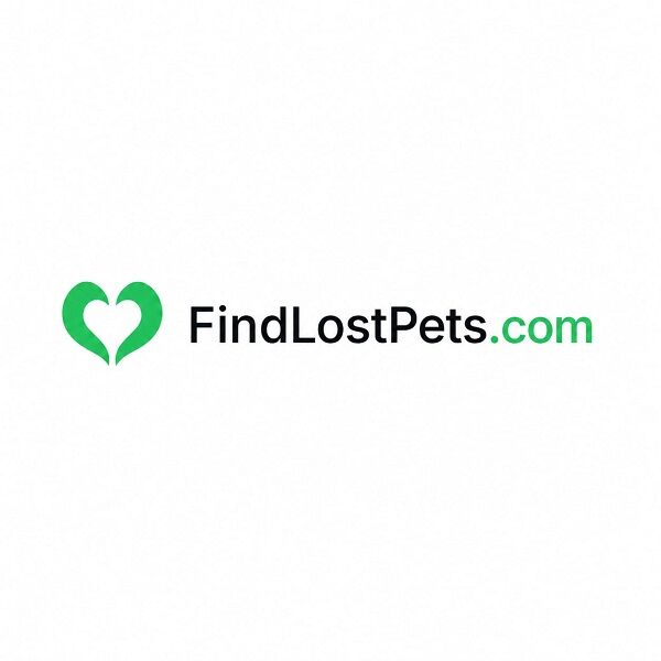 New York, Pet Sitting, FindLostPets.com