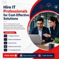 Hire IT Professionals For Cost-Saving IT Support