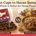 INR 200,  Havan Cups Vs Havan Samagri: Which Is Better For Home Puja?