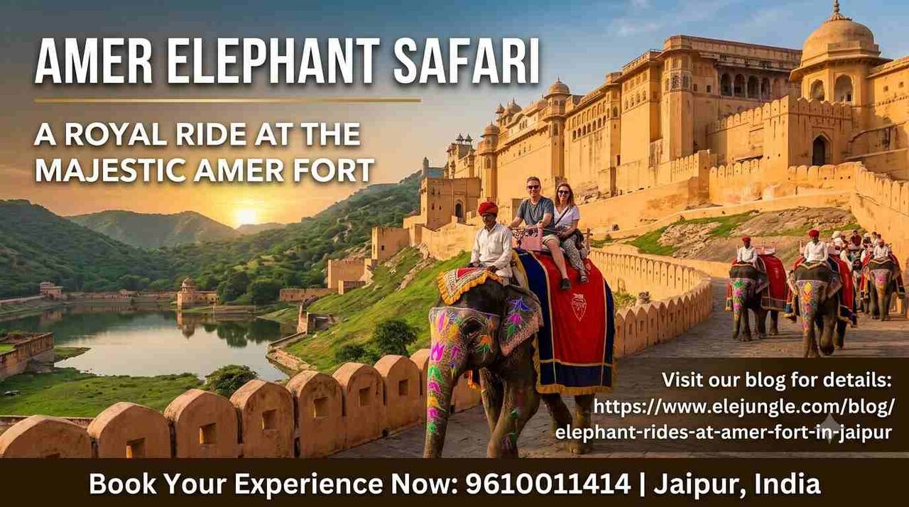 Jaipur, Travel, Relive Royal History With Amer Elephant Safari