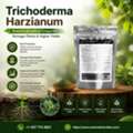USD 35,  Choose Trichoderma Harzianum For Better Crop Growth &ndash; Enquire Now Today
