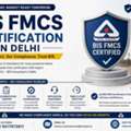 BIS FMCS Consultant Delhi
