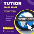 Accountancy And Businesses Studies Tuition For All Classes