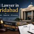 Looking For A Bail Lawyer In Faridabad For Bail Procedures?
