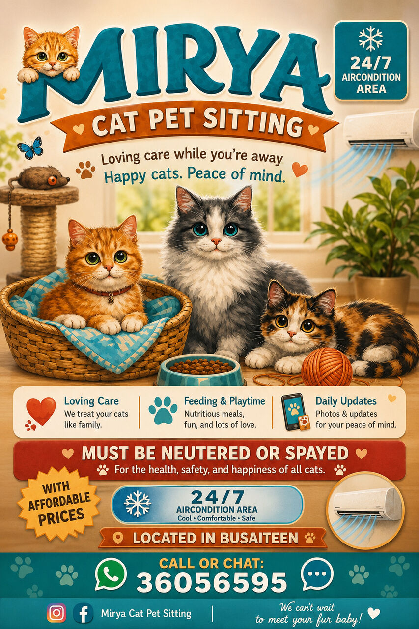 Busaiteen, Pet Sitting, Mirya Cat Sitting